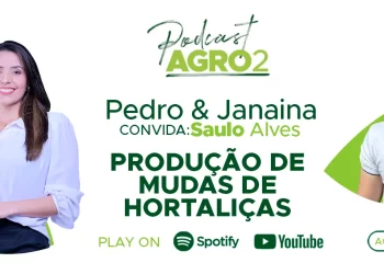 Podcast com Saulo Alves