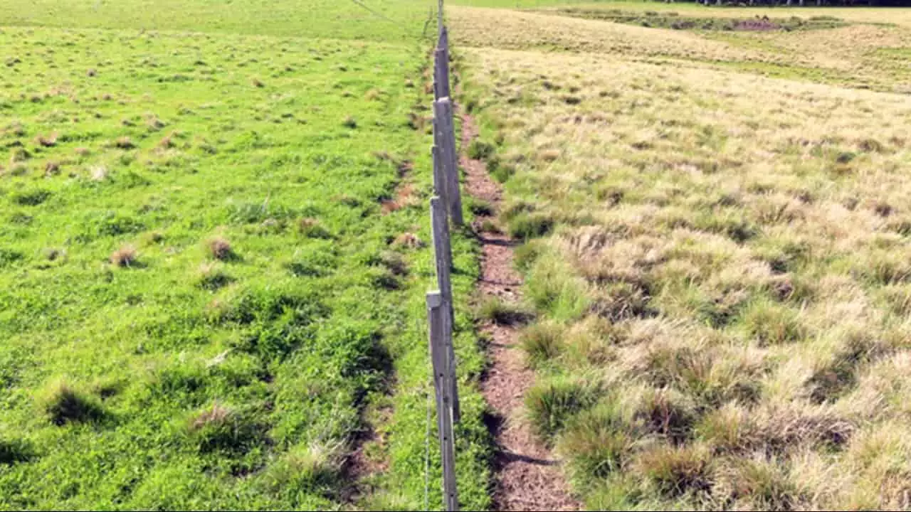 Recuperação do total degradado poderia aumentar 35% da área plantada de grãos na safra 2022/2023. 