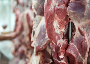 Setor de carnes do Brasil enfrenta dificuldades com mobilização de fiscais