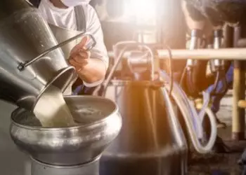 Aumento do valor pago pelos laticínios é explicado pela menor oferta do produto no campo.