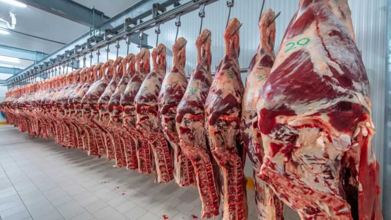 Carne bovina é o terceiro produto mais exportado. 
