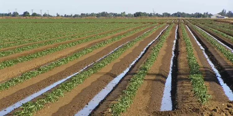 Método identifica remotamente contaminação da água subterrânea em áreas agrícolas 1 Conceito Embrapa tem aplicação nas avaliações de risco ambiental de defensivos agrícolas.