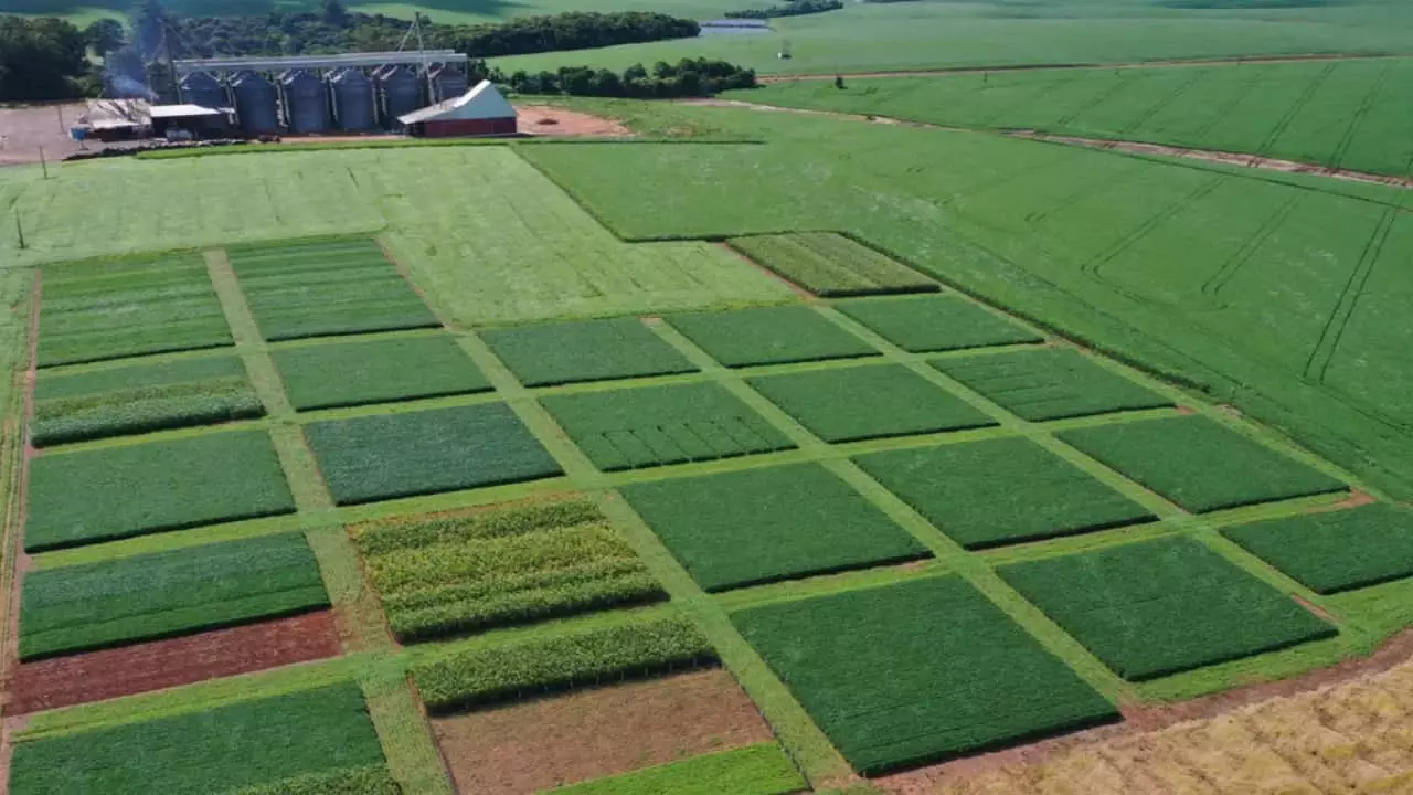 Estações abordam assuntos como solos, sementes, biosoluções e defensivos.