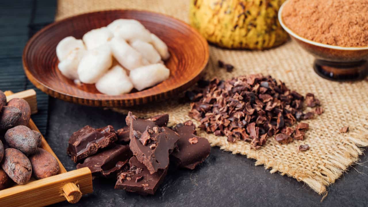 Produtos como nibs de cacau, castanha de caju, café e chocolate são produzidos pelas agricultoras. 