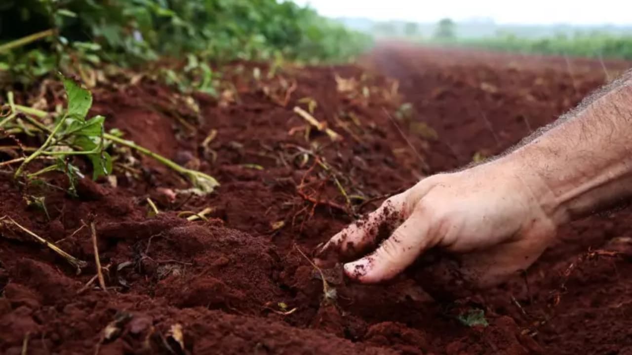 Níveis de umidade no solo devem se manter em grande parte do Brasil. 