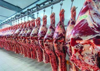 País produziu mais carne e maior oferta fez preço cair.