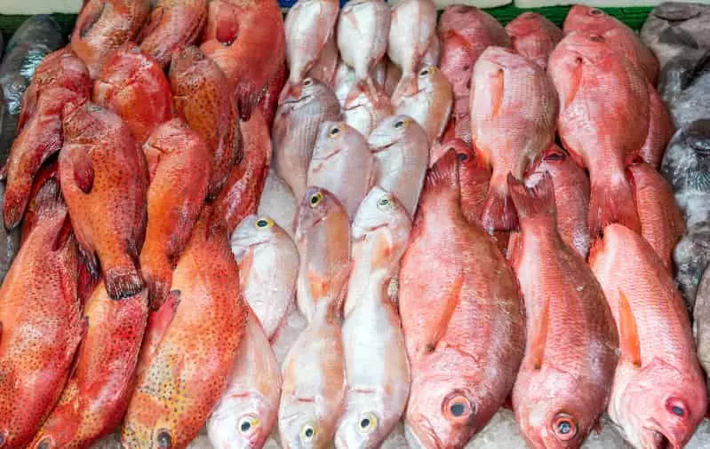Pargo 