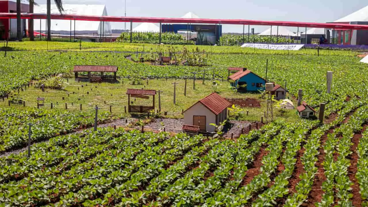 Representação de uma propriedade rural, estruturas e cultivos.