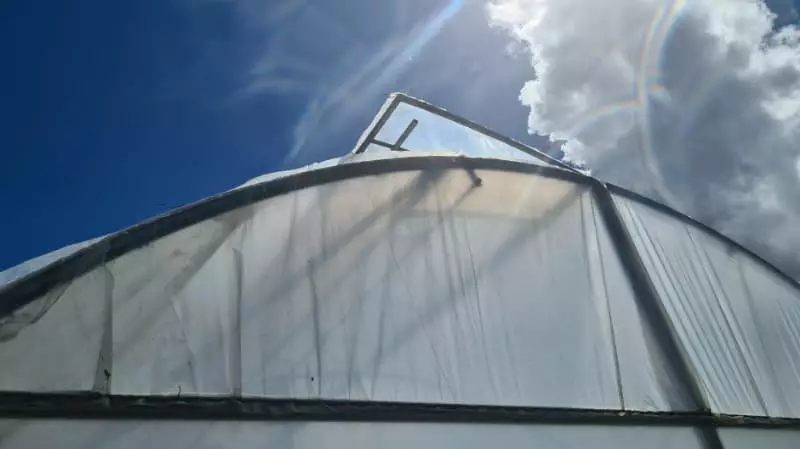 Vantagem das Câmaras térmicas