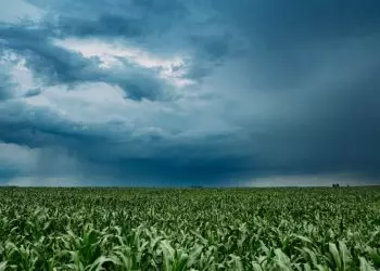Volumes maiores que 60 milímetros até 12 de fevereiro no Centro-Norte do Brasil.
