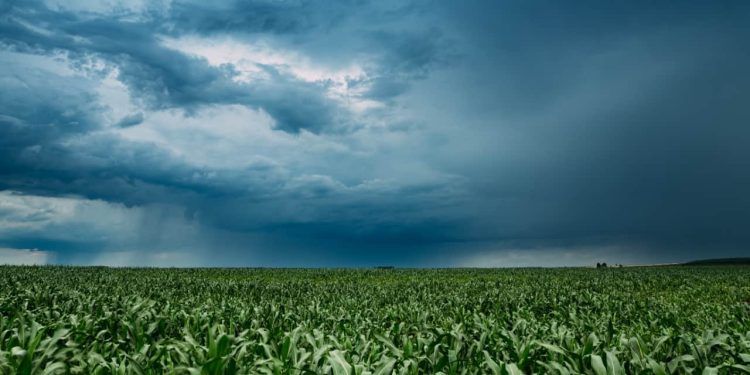 Volumes maiores que 60 milímetros até 12 de fevereiro no Centro-Norte do Brasil.