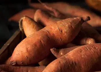 Aprenda como plantar batata-doce e as vitaminas presentes no alimento