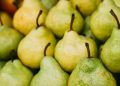 Aprenda como plantar pera e os inúmeros nutrientes presentes na fruta
