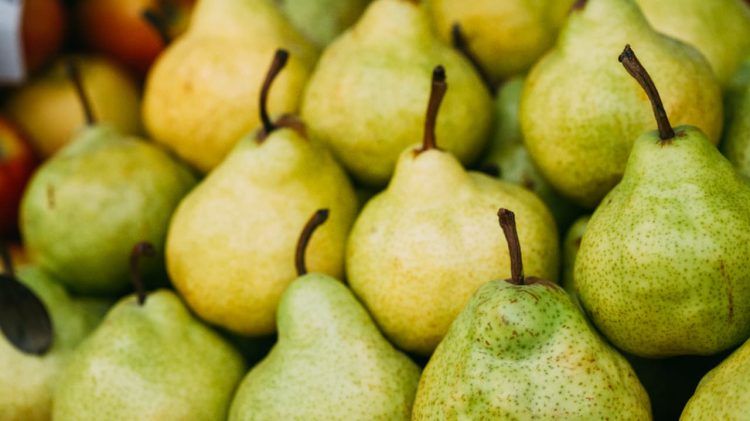 Aprenda como plantar pera e os inumeros nutrientes presentes na fruta