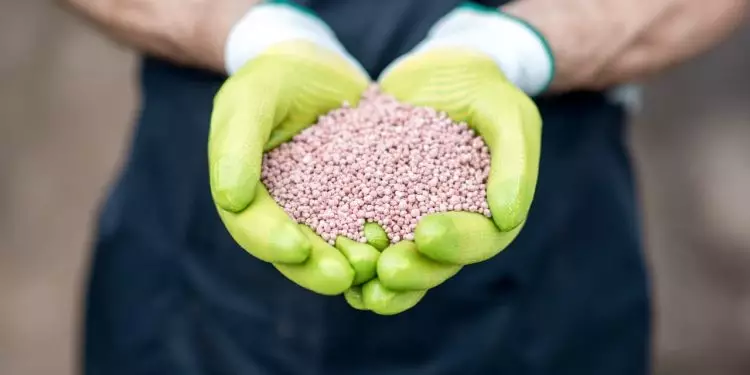 Brasil amplia produção de fertilizantes com aquisição de nova fábrica