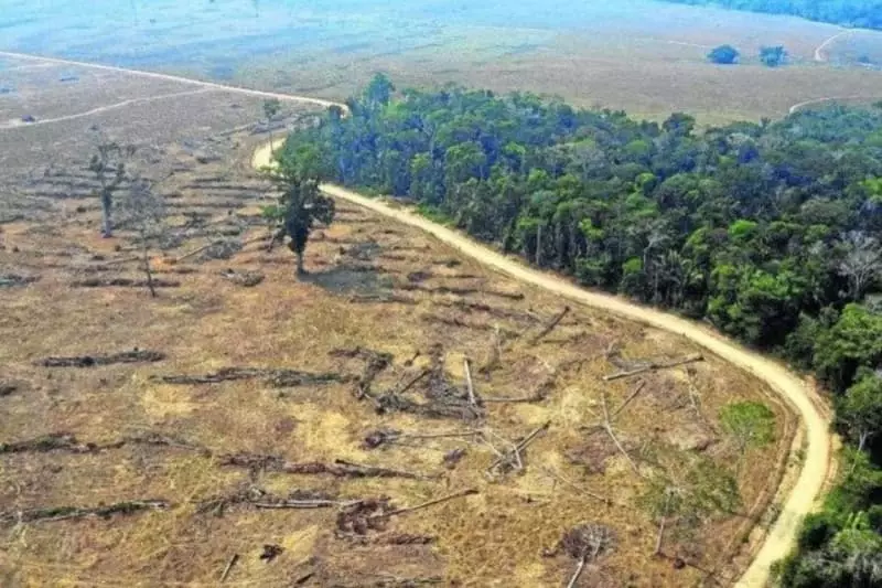 Cerrado