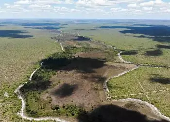 Cerrado apresenta alta de 19% nos alertas de desmatamento em fevereiro