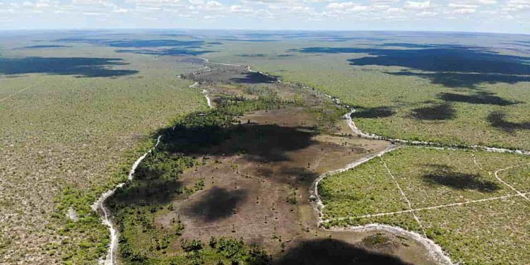 Cerrado apresenta alta de 19% nos alertas de desmatamento em fevereiro