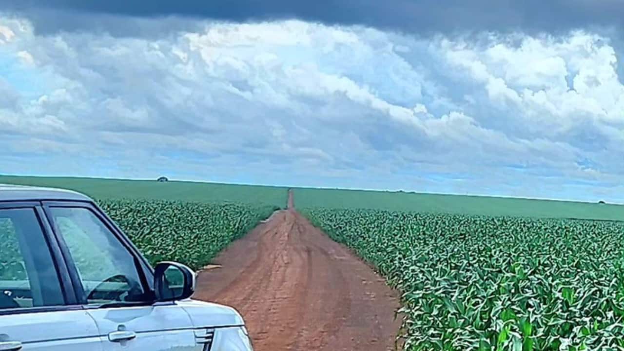 Condições climáticas afetam colheita da soja e atrasam plantio do milho, no Tocantins
