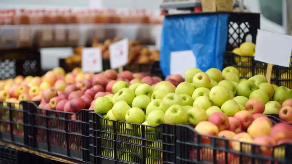 Confira quais os alimentos que compõem a nova cesta básica