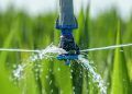 Dia Mundial da Água veja a importância dos cuidados com o recurso hídrico