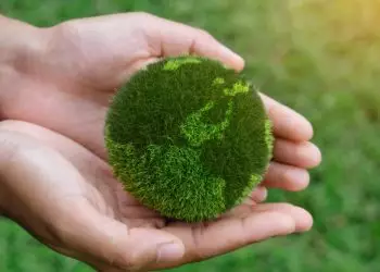 Entidades formam comitê para definir agenda de finanças sustentáveis