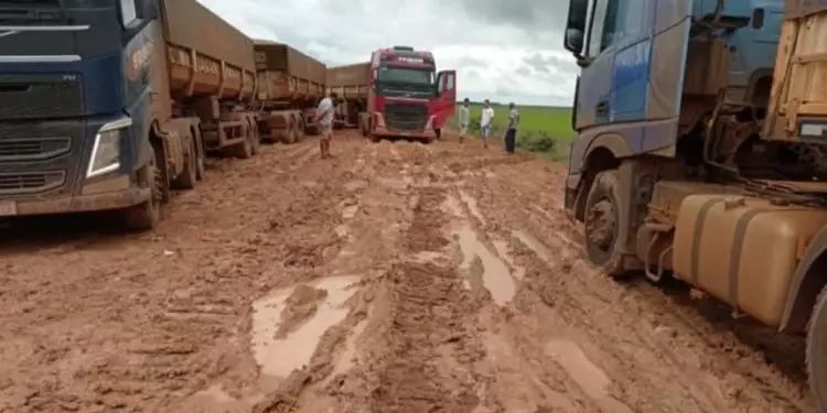 Chuvas intensas afetam escoamento da safra de soja no sul do Maranhão