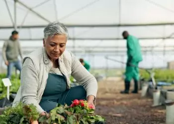 Número de pessoas empregadas no agronegócio bate em recorde em 2023
