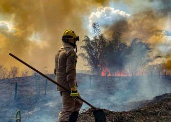 STF determina criação de plano de combate a incêndios no Pantanal e na Amazônia