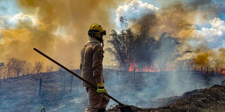 STF determina criação de plano de combate a incêndios no Pantanal e na Amazônia