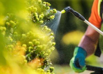 Senado aprova projeto para impulsionar produção nacional de fertilizantes
