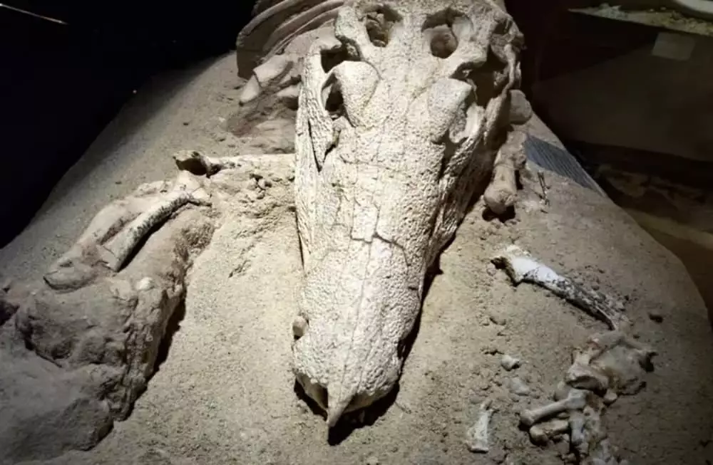 Geoparque Uberaba