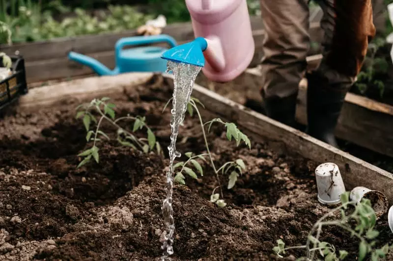 Água na agricultura 