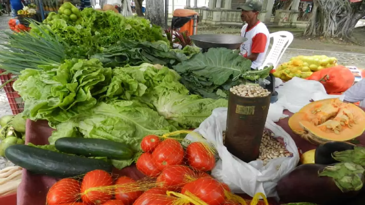 Alimentos serão entregues a entidades sociais goianas. 