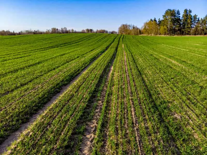 Aplicação de crédito rural 