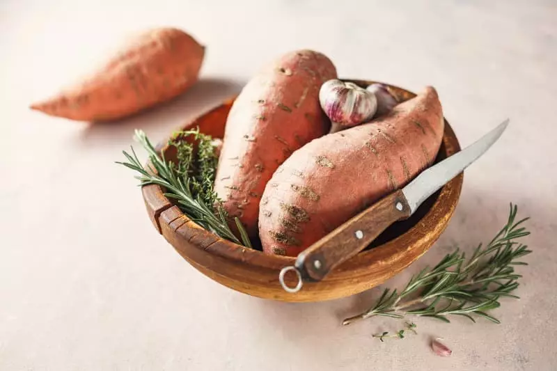 Como plantar batata-doce