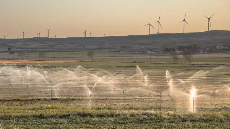 Irrigação em plantação 