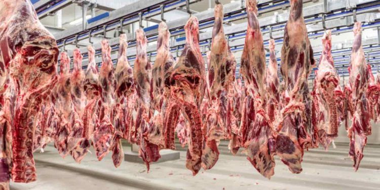 Mais 38 frigoríficos brasileiros podem exportar carnes para a China.