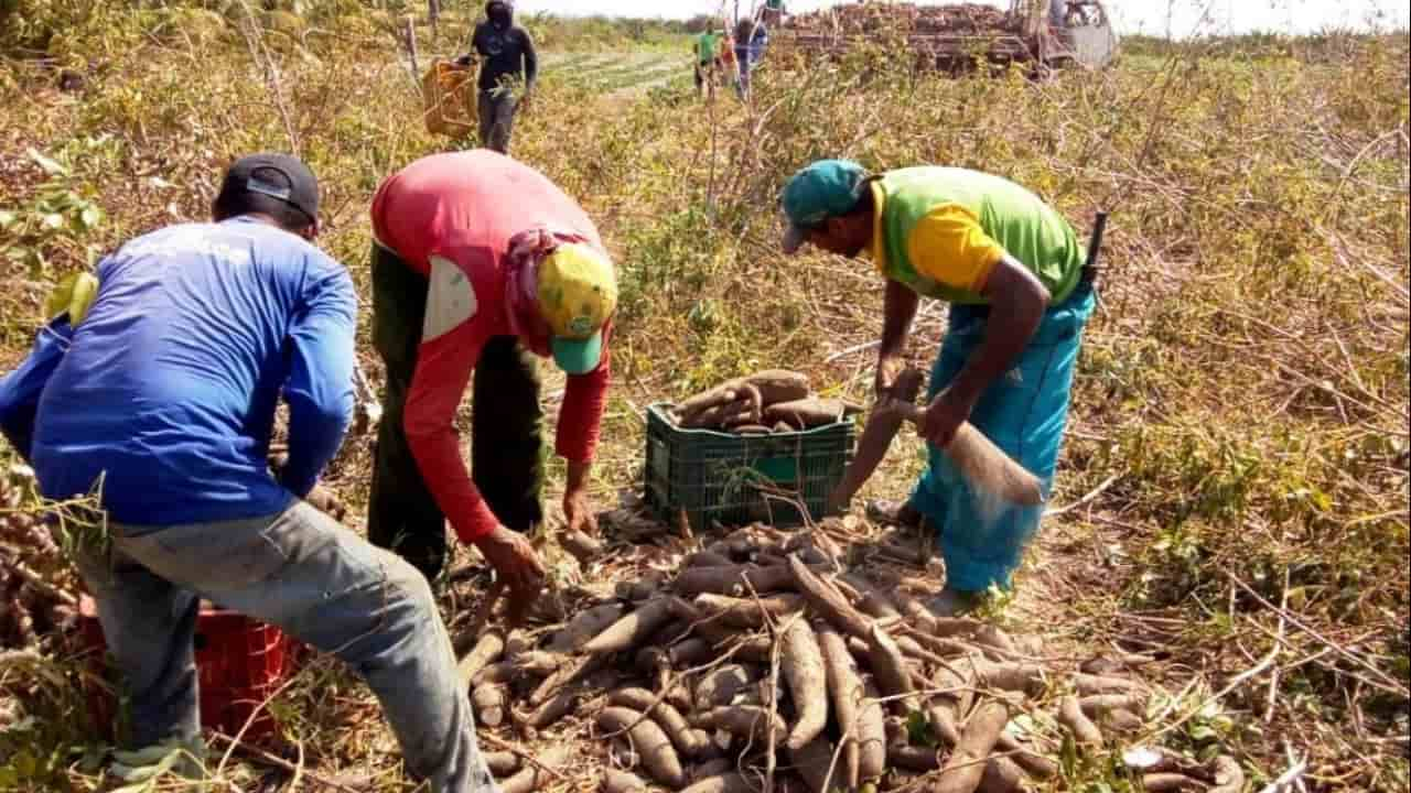 Objetivo é garantir segurança alimentar às famílias do campo. 