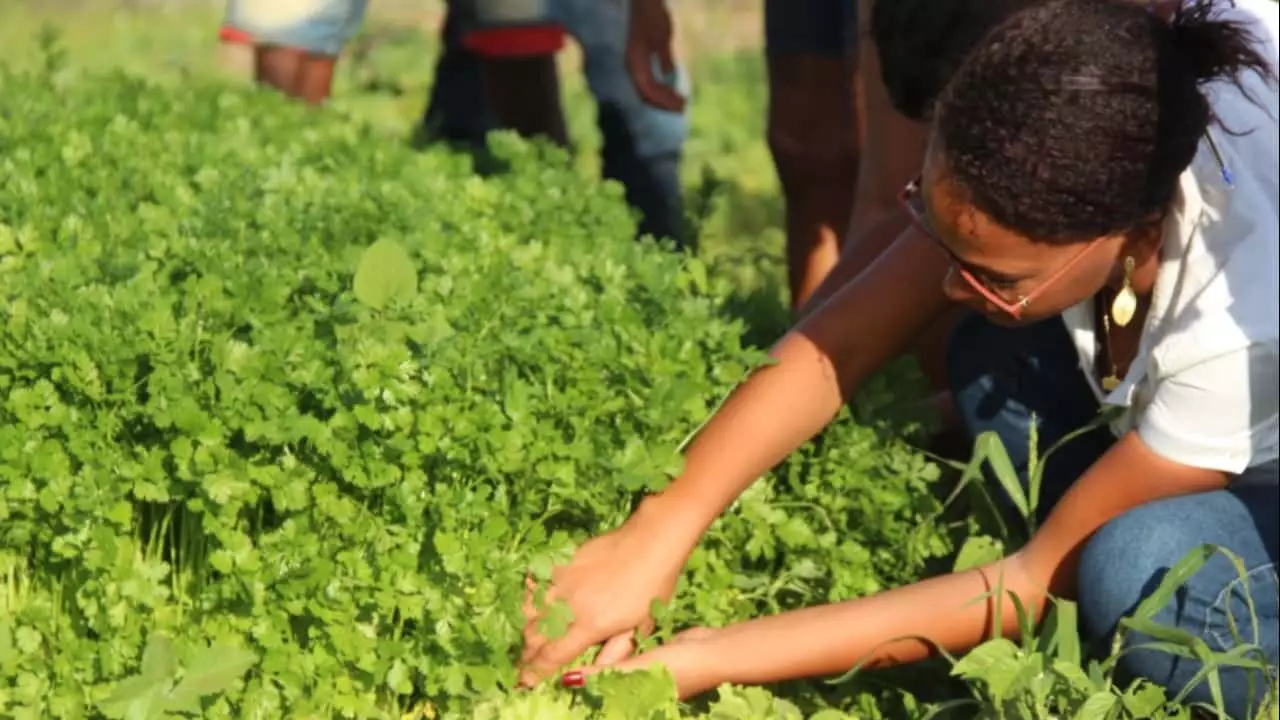Produtores podem se inscrever até 9 de abril.