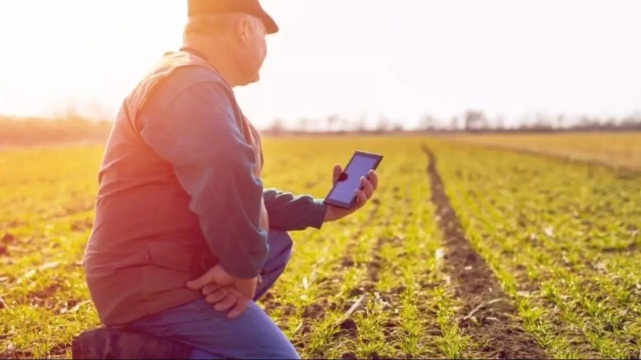 Produtores rurais podem regularizar situação junto à Receita e evitar multas. 