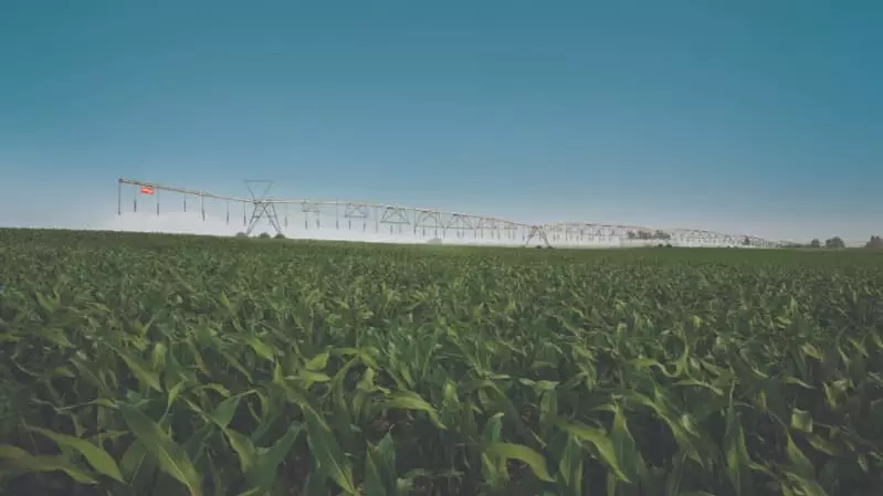 Projeto de irrigação 