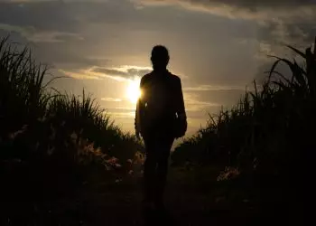 Mulheres no Agronegócio: presença feminina antes, dentro e fora da porteira