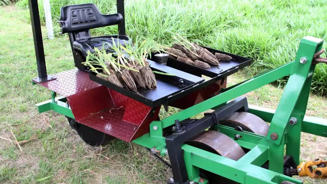 Topa-tudo reduz o tempo de plantio e custos de produção com a semeadura. 