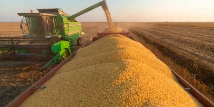 Volume esperado pela Conab é de 295,6 milhões de toneladas.
