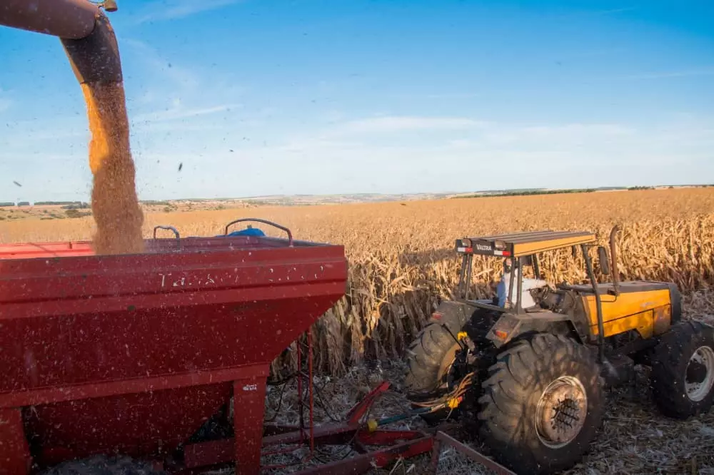 Agronegócio goiano gera empregos para mais de 1 milhão de pessoas em 2023