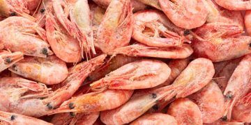 Coreia do Sul abre mercado para produtos brasileiros à base de camarão