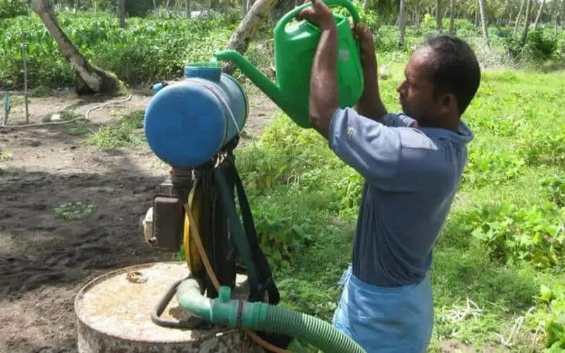 Trabalhador agrícola 