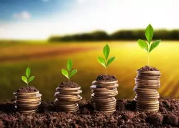 Desembolso do crédito rural totaliza em R$ 319,2 bilhões em nove meses