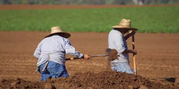 Mudanças climáticas afetam saúde de 70% dos trabalhadores, diz OIT
